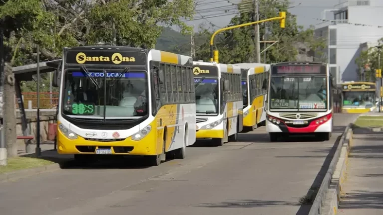 Polémica por la licitación del transporte urbano en la capital
