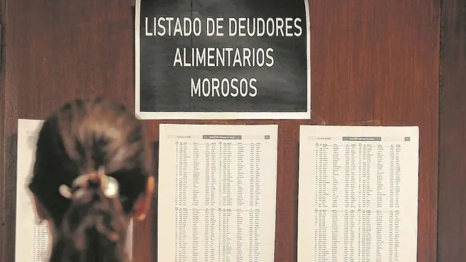 Alertan por la cantidad de juicios por deudores alimentarios en la provincia
