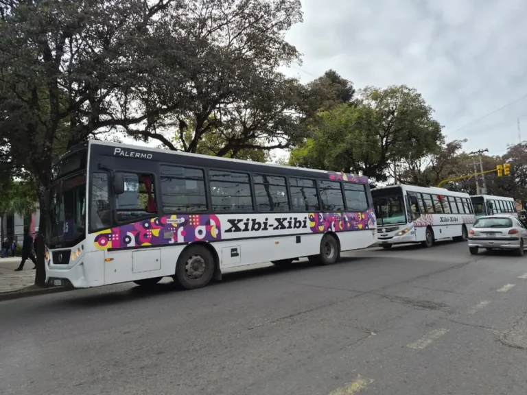 Continúa la polémica por la licitación del transporte