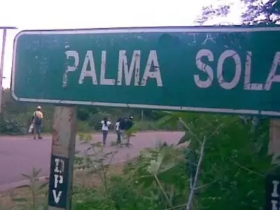 Robo millonario en Palma Sola