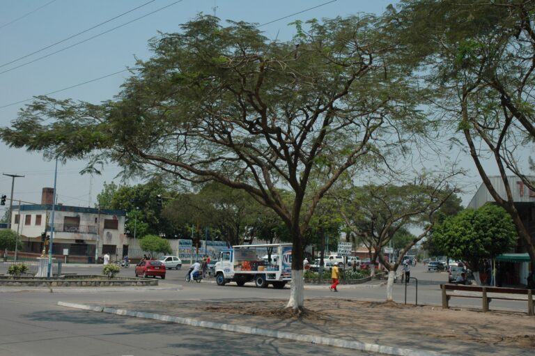 Vecinos del Ramal exigen obras, servicios y tierras