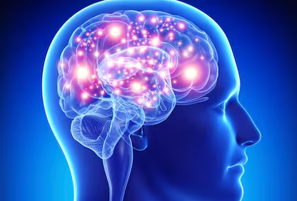 Nueva terapia para fortalecer el sistema inmune del cerebro