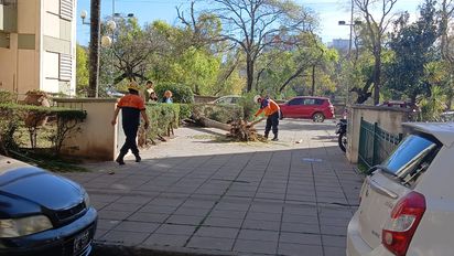Continúan los inconvenientes por el Viento Zonda