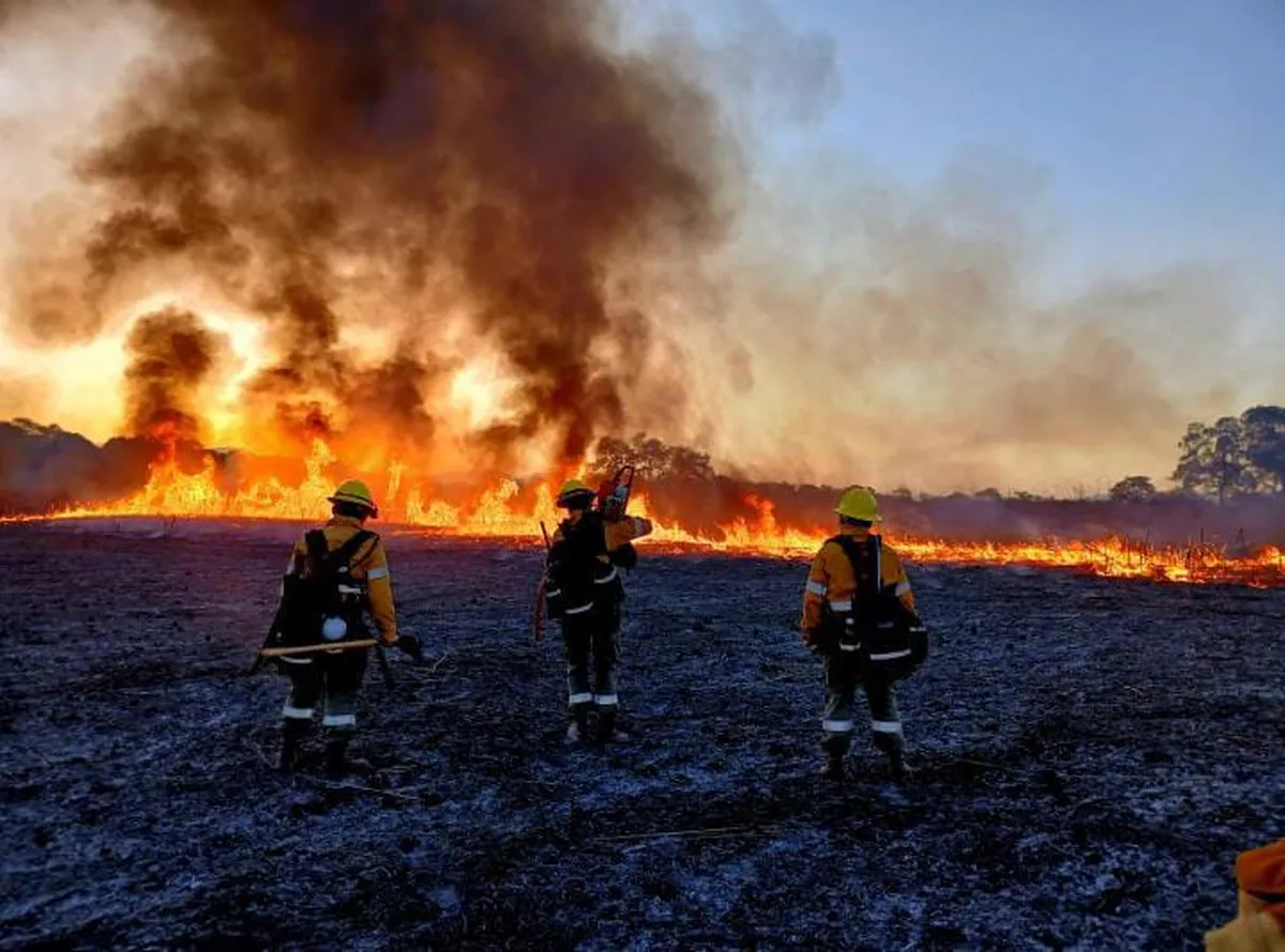 Más de 1000 hectáreas quemadas en Jujuy