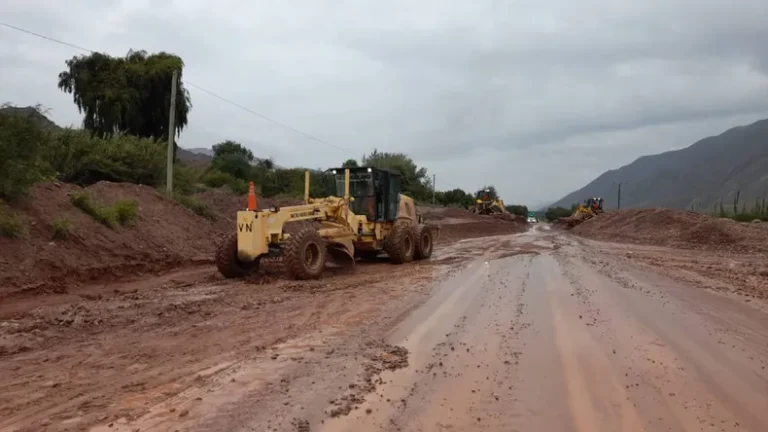 Siufi criticó las condiciones de Rutas Nacionales