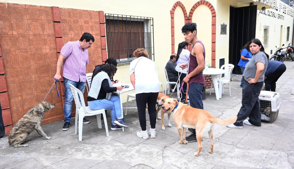Preocupa la falta de vacunas antirrábicas en la provincia