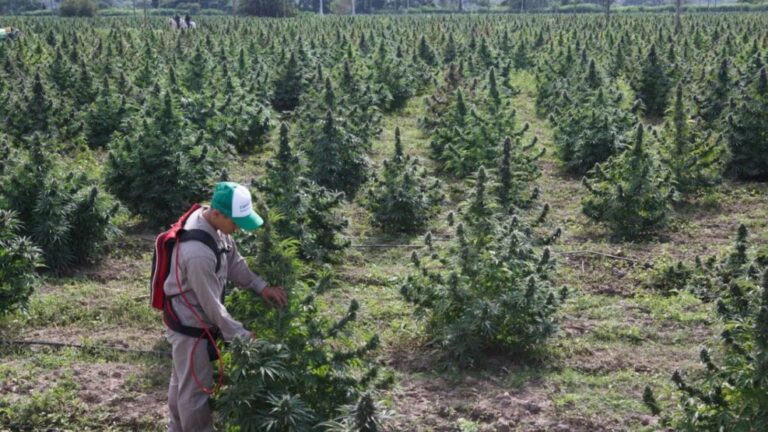 Cuestionan la falta de controles sobre los fondos públicos de Cannava