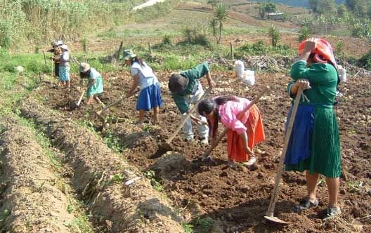 Hoy 15 de octubre: Día Internacional de las Mujeres Rurales