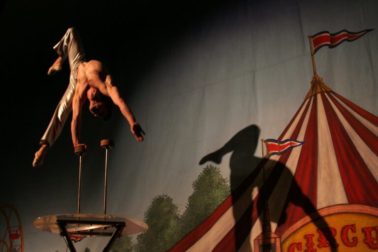 Hoy 6 de octubre: Día Nacional del Circo